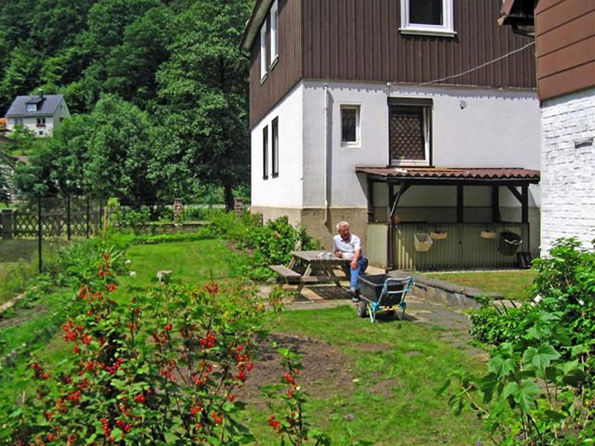 Spacious Group House In The Harz Region Zorge Exterior foto