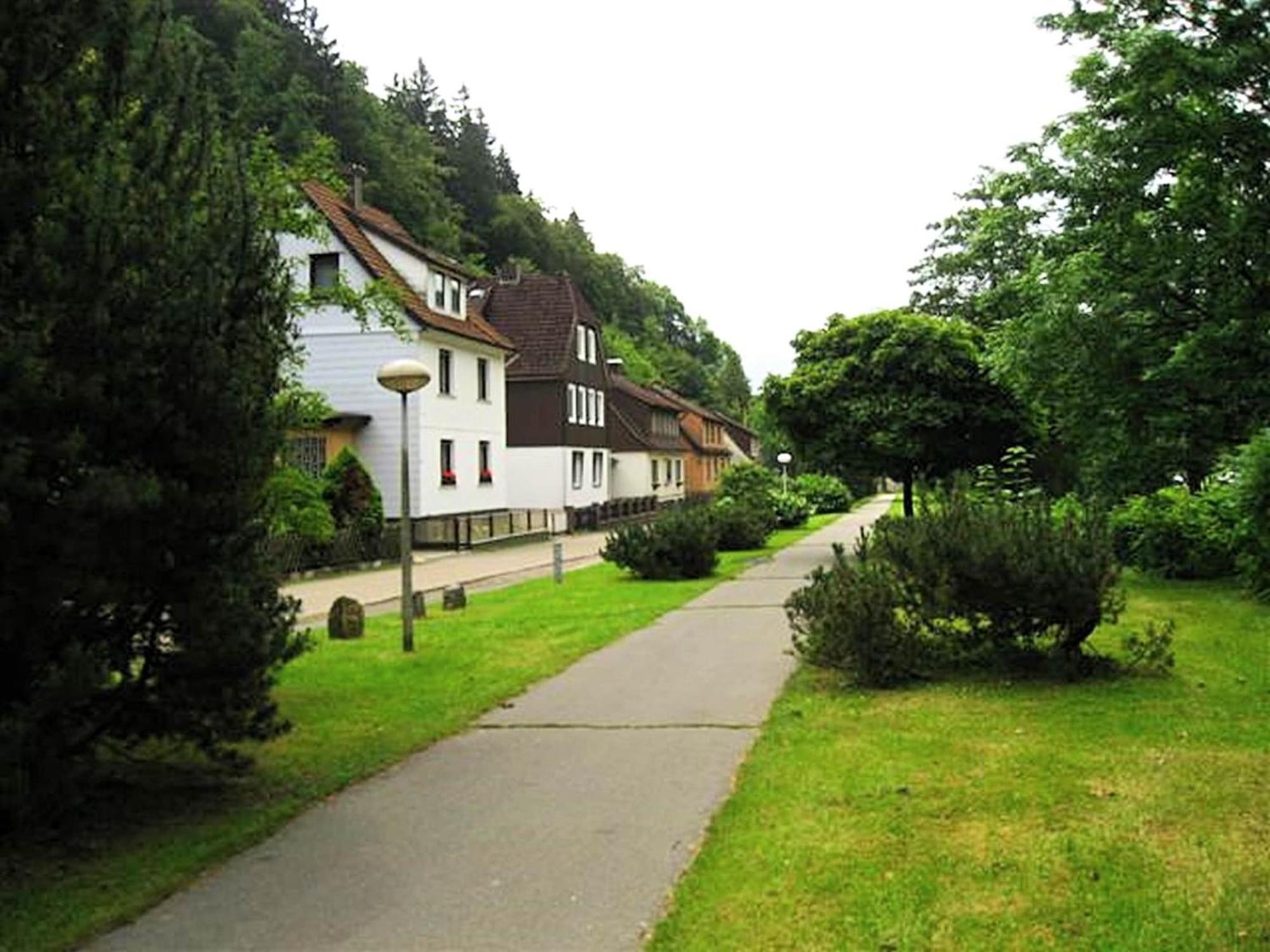 Spacious Group House In The Harz Region Zorge Exterior foto