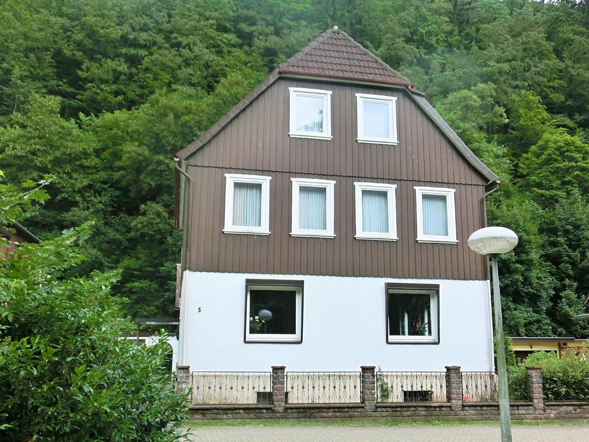 Spacious Group House In The Harz Region Zorge Exterior foto