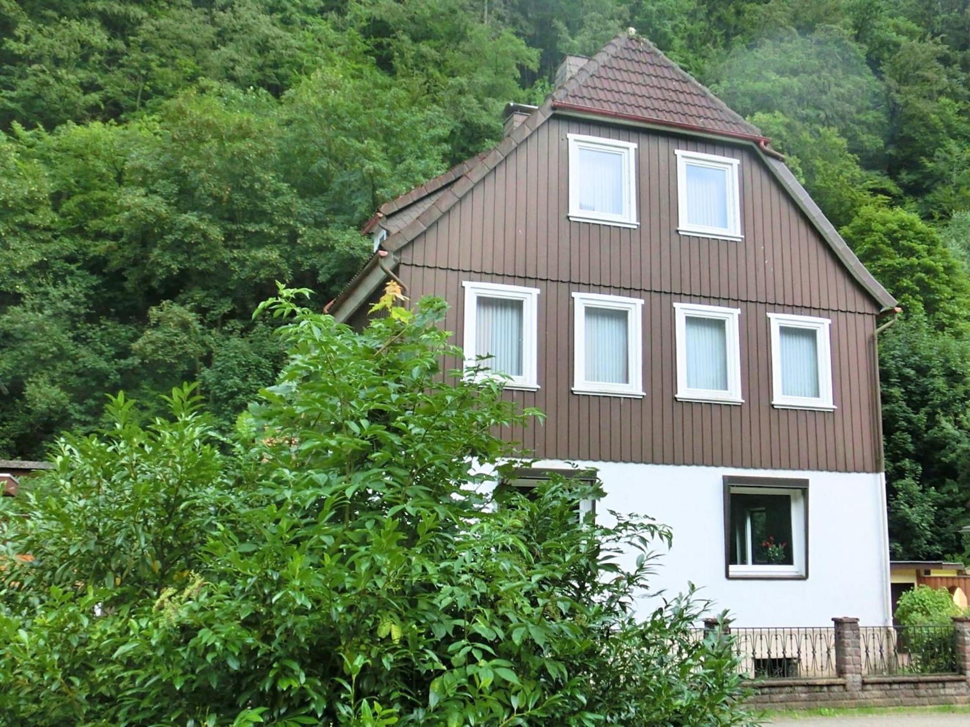 Spacious Group House In The Harz Region Zorge Exterior foto